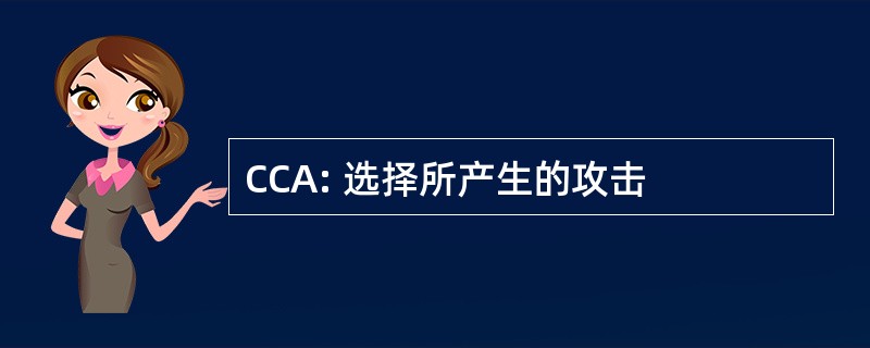 CCA: 选择所产生的攻击