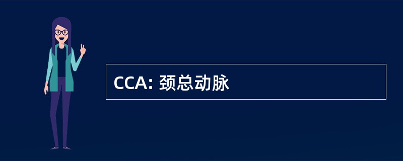 CCA: 颈总动脉