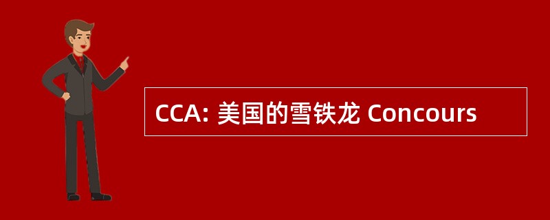 CCA: 美国的雪铁龙 Concours