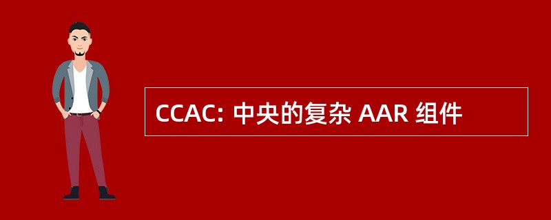 CCAC: 中央的复杂 AAR 组件