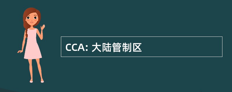 CCA: 大陆管制区