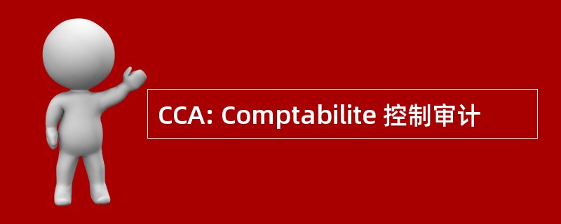 CCA: Comptabilite 控制审计