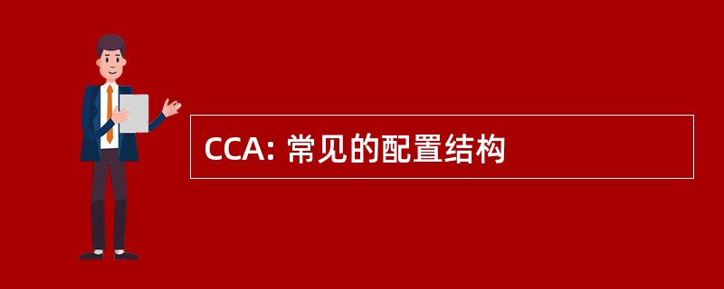 CCA: 常见的配置结构