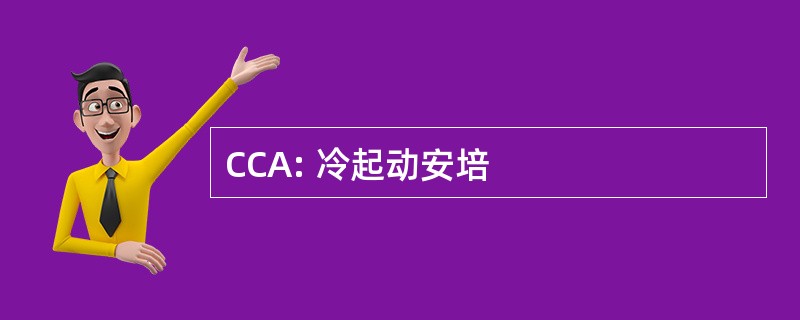 CCA: 冷起动安培