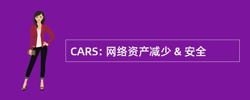 CARS: 网络资产减少 & 安全