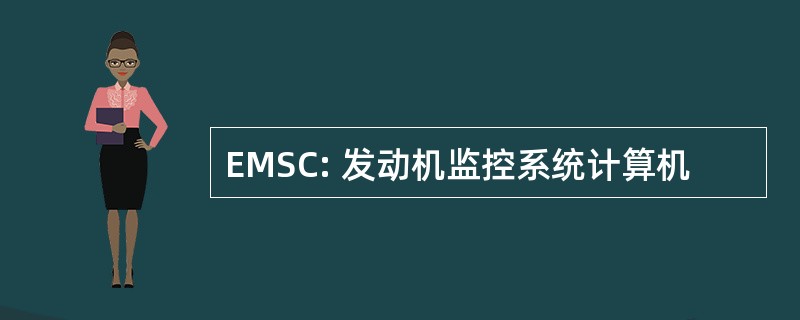 EMSC: 发动机监控系统计算机