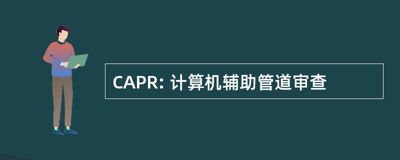 CAPR: 计算机辅助管道审查