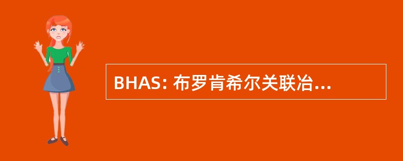 BHAS: 布罗肯希尔关联冶炼厂有限公司