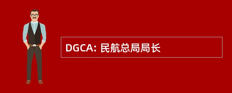 DGCA: 民航总局局长