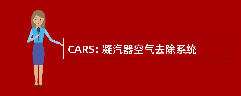 CARS: 凝汽器空气去除系统