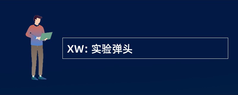 XW: 实验弹头