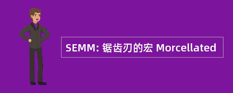 SEMM: 锯齿刃的宏 Morcellated