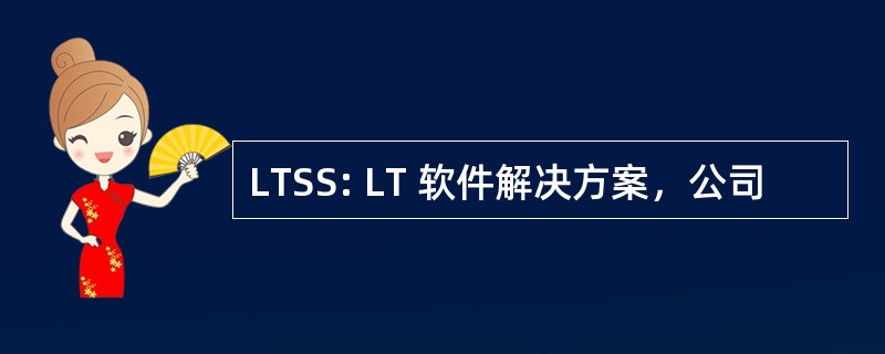 LTSS: LT 软件解决方案，公司