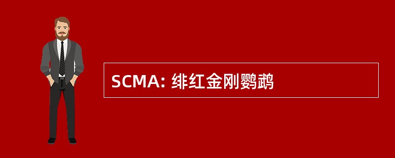 SCMA: 绯红金刚鹦鹉