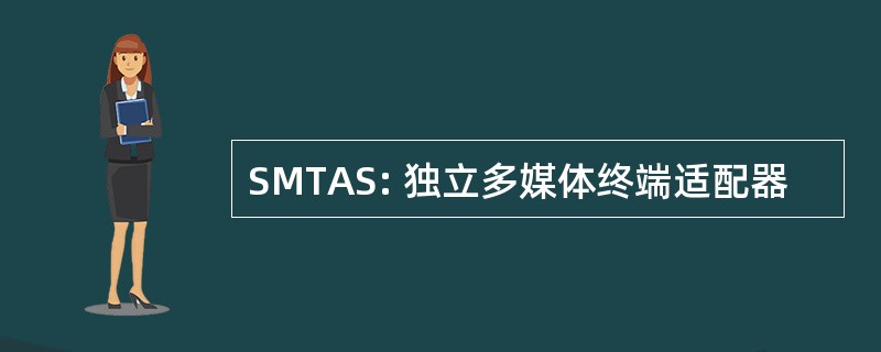 SMTAS: 独立多媒体终端适配器