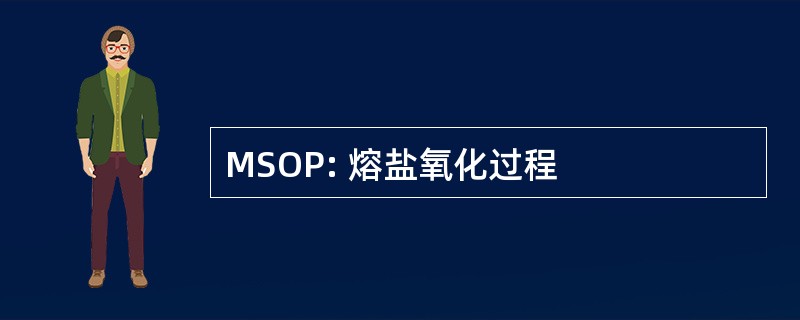 MSOP: 熔盐氧化过程