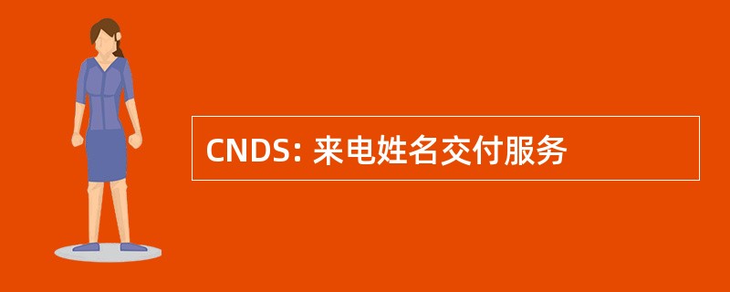 CNDS: 来电姓名交付服务