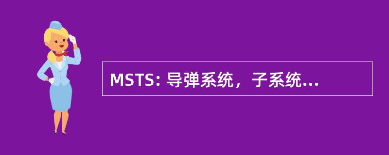 MSTS: 导弹系统，子系统，站测试集