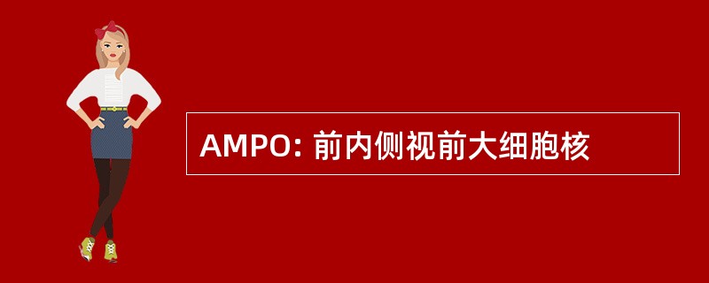 AMPO: 前内侧视前大细胞核