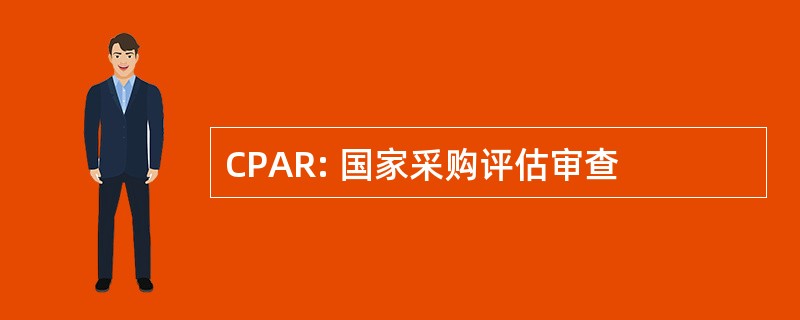 CPAR: 国家采购评估审查