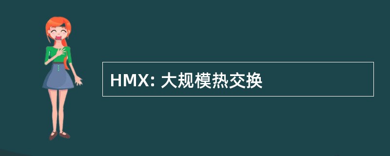 HMX: 大规模热交换