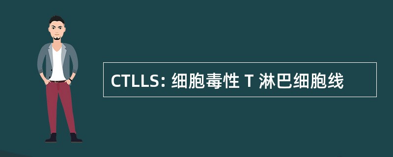 CTLLS: 细胞毒性 T 淋巴细胞线