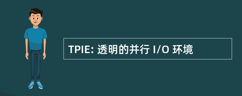 TPIE: 透明的并行 I/O 环境