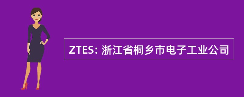 ZTES: 浙江省桐乡市电子工业公司