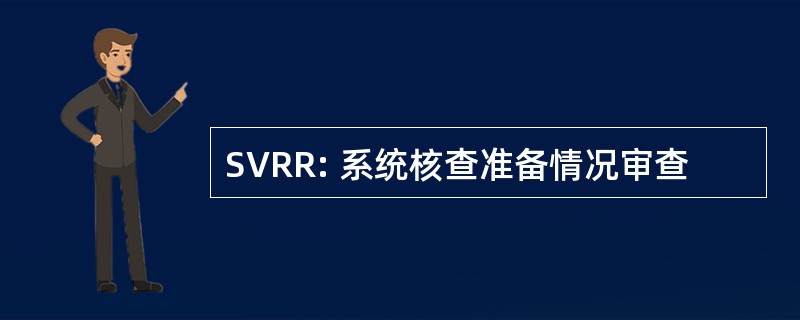 SVRR: 系统核查准备情况审查