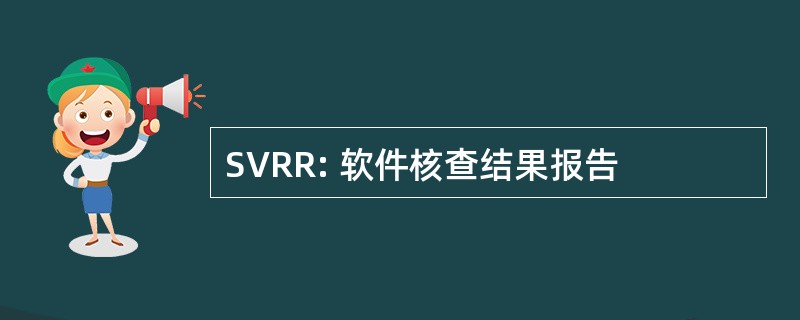 SVRR: 软件核查结果报告