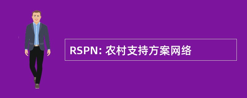 RSPN: 农村支持方案网络