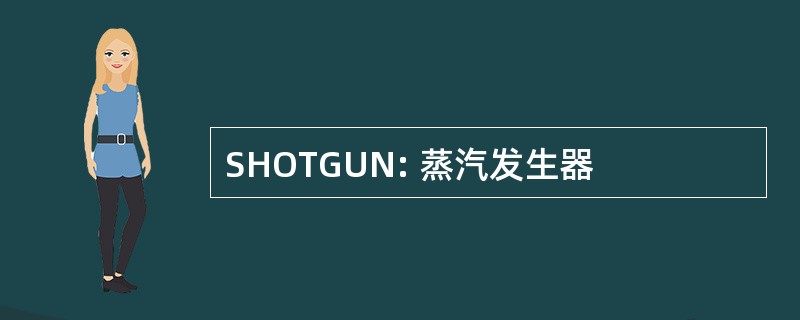 SHOTGUN: 蒸汽发生器