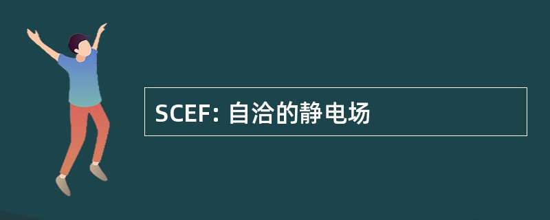 SCEF: 自洽的静电场