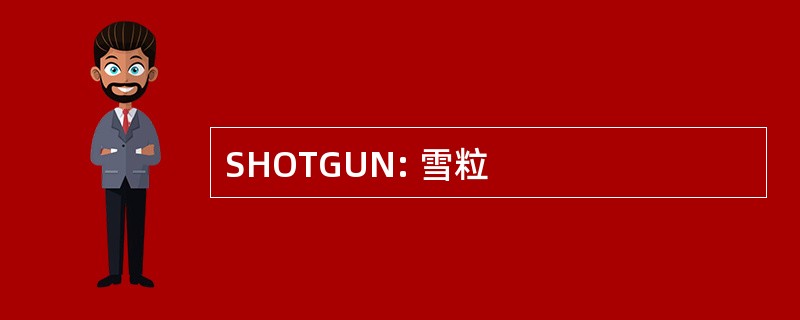 SHOTGUN: 雪粒