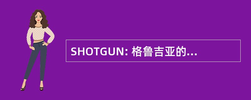 SHOTGUN: 格鲁吉亚的南铁路公司