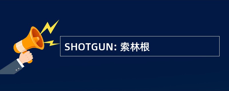 SHOTGUN: 索林根