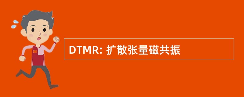 DTMR: 扩散张量磁共振