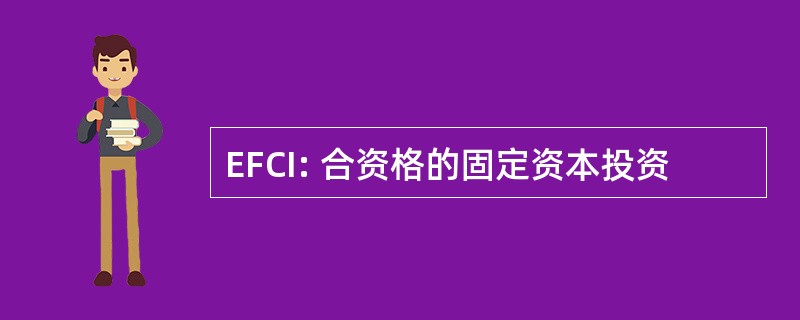 EFCI: 合资格的固定资本投资