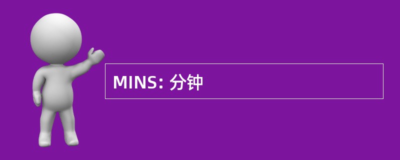 MINS: 分钟