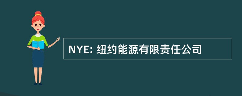 NYE: 纽约能源有限责任公司