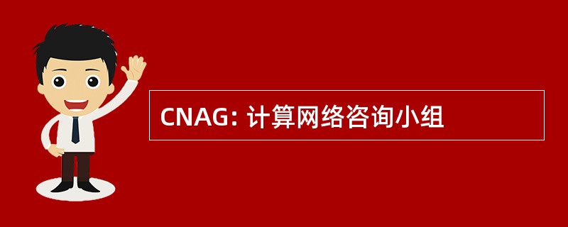 CNAG: 计算网络咨询小组