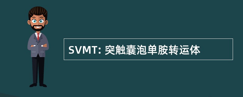 SVMT: 突触囊泡单胺转运体