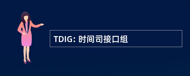 TDIG: 时间司接口组