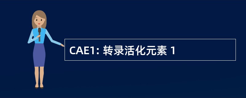 CAE1: 转录活化元素 1