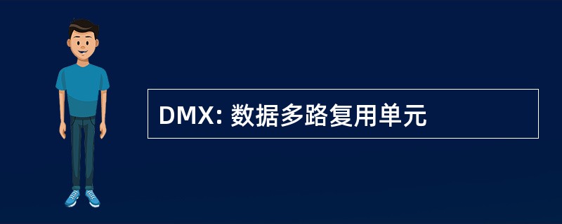 DMX: 数据多路复用单元