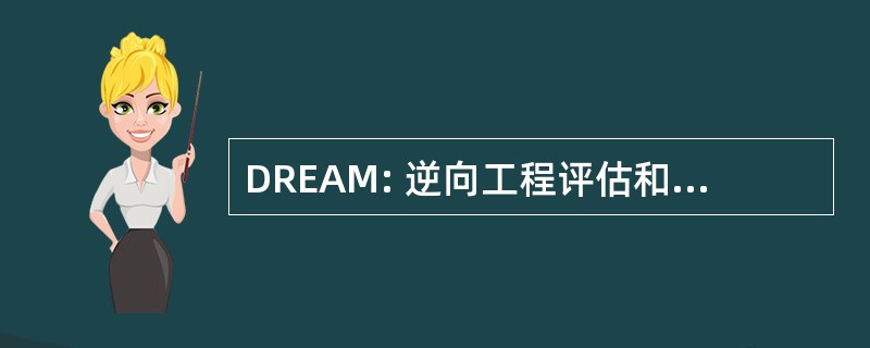 DREAM: 逆向工程评估和方法的对话