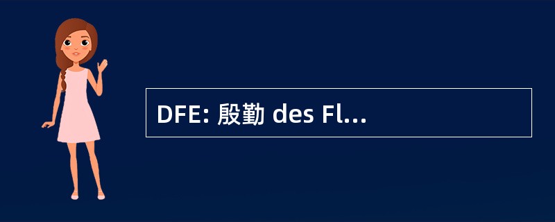 DFE: 殷勤 des Fluides et Energetique