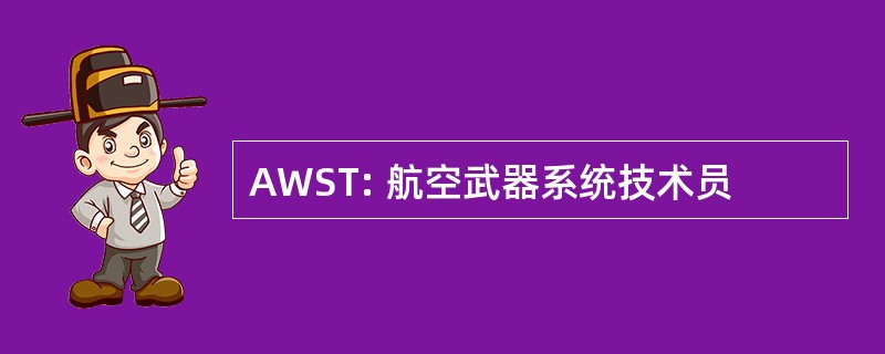 AWST: 航空武器系统技术员