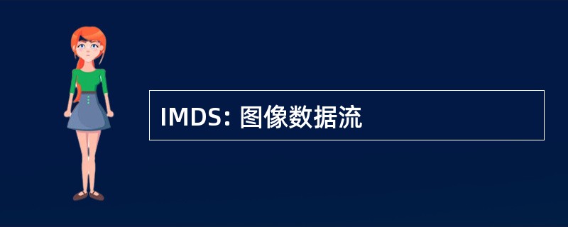 IMDS: 图像数据流