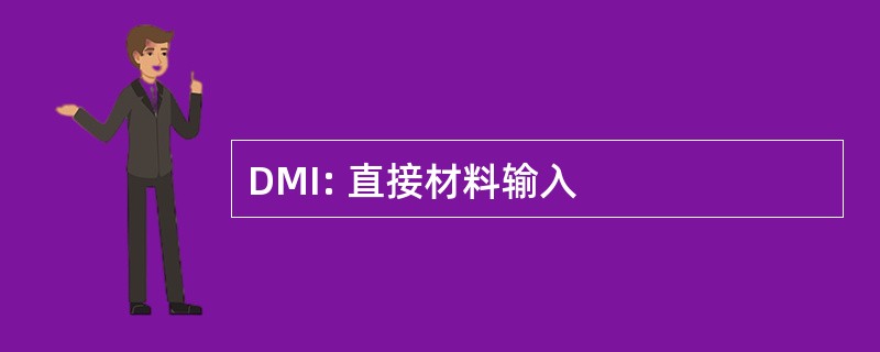 DMI: 直接材料输入